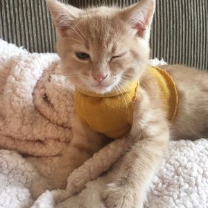 Meet your Posher, Alana